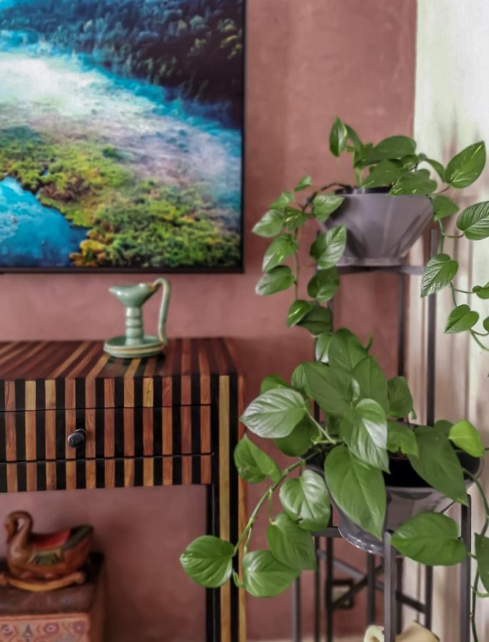 Hostel Teddy Pirate - Coliving Taghazout Zewnętrze zdjęcie